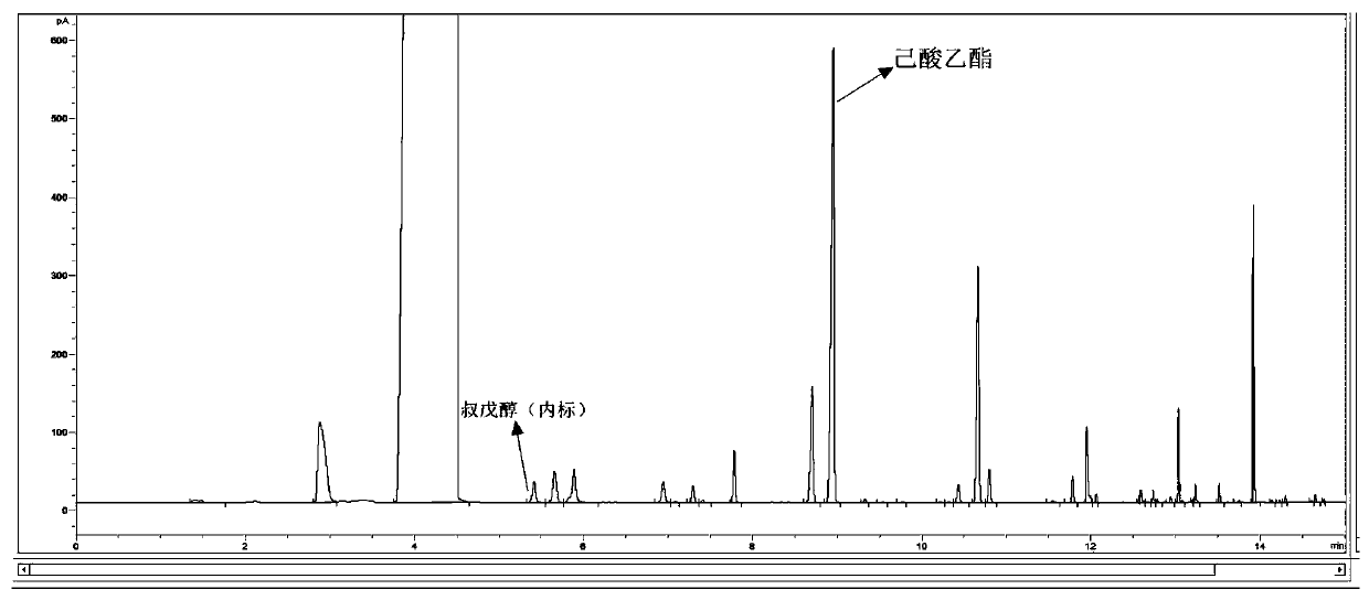 Method for rapidly analyzing ethyl caproate in strong aromatic Chinese spirits by adopting two-channel gas chromatography