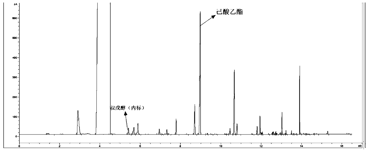 Method for rapidly analyzing ethyl caproate in strong aromatic Chinese spirits by adopting two-channel gas chromatography