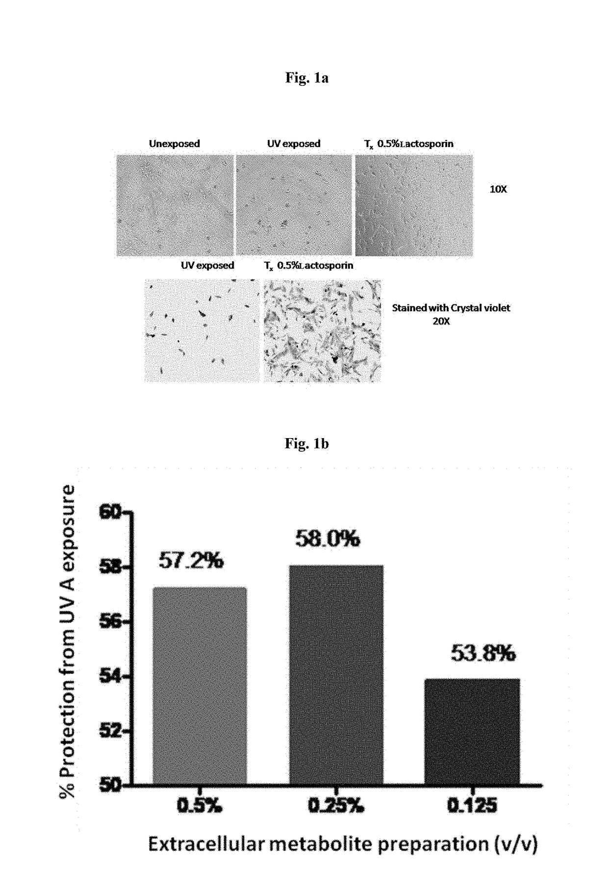 Skin care applications of extracellular metabolites from bacillus coagulans