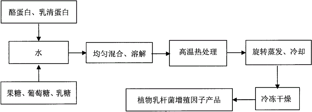 Lactobacillus plantarum somatomedin as well as raw material composition, preparation method and application thereof