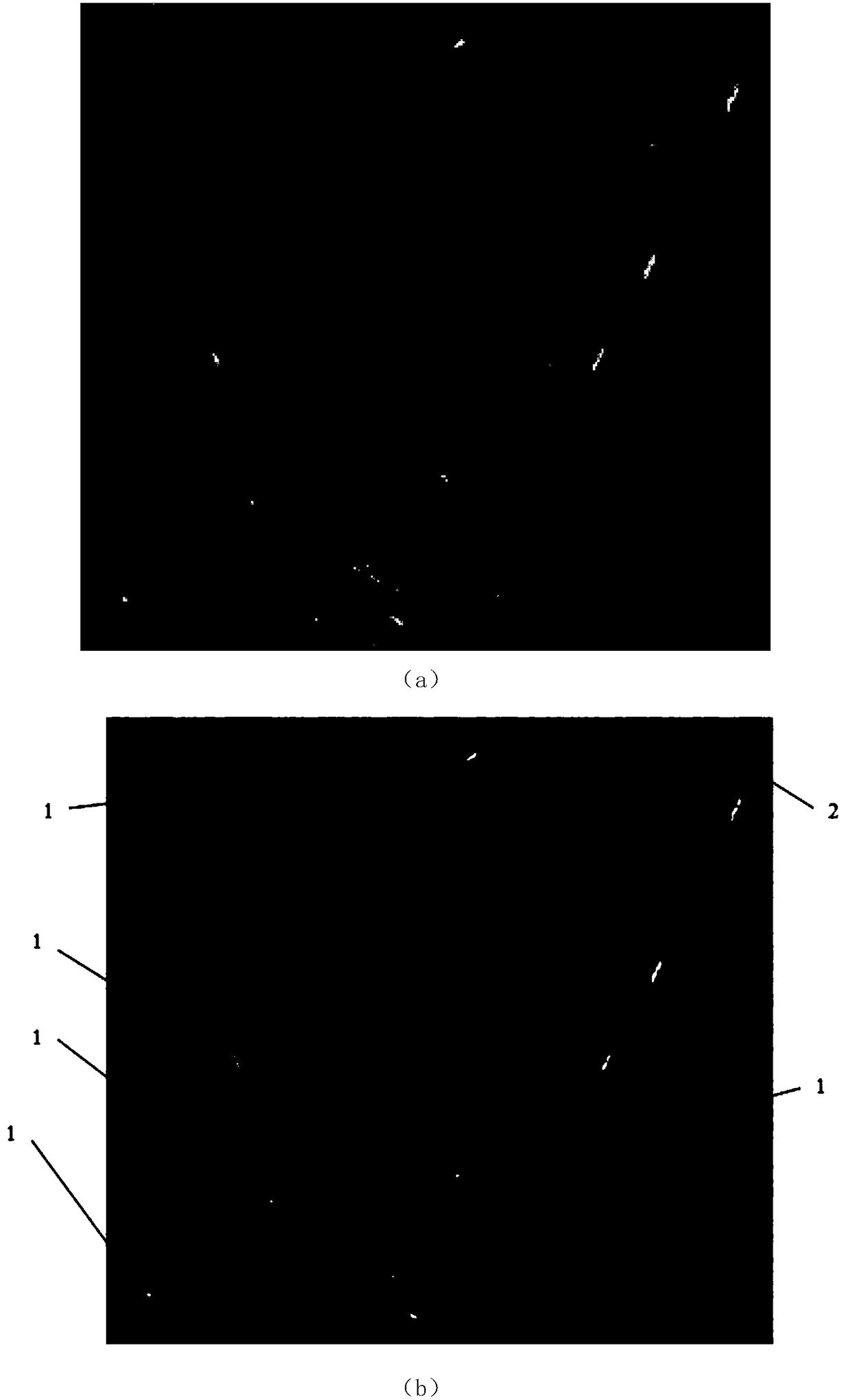 Complex background SAR vehicle target detection method based on CNN