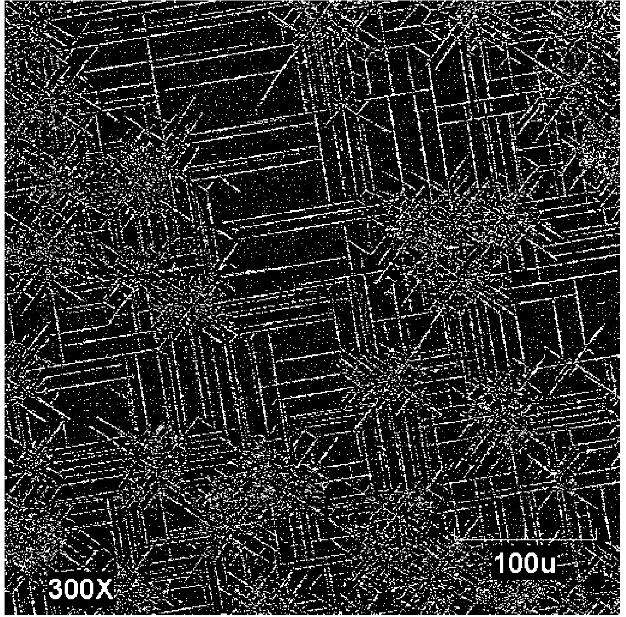 Method for generating dendritic crystal pattern on surface of Cu/Ti film