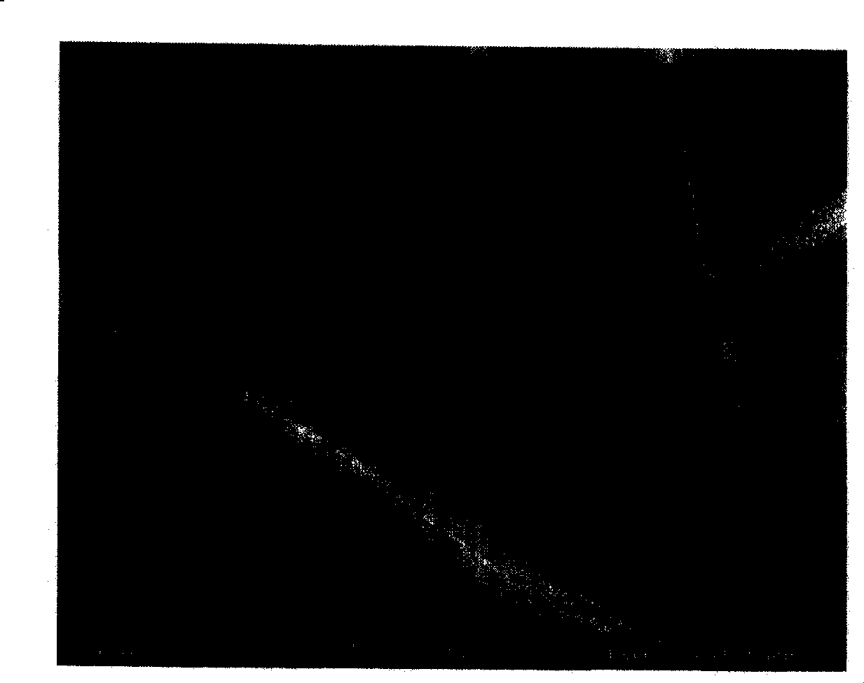 Supported TiO2 photocatalyst, preparation method and photocatalytic water purifier thereof