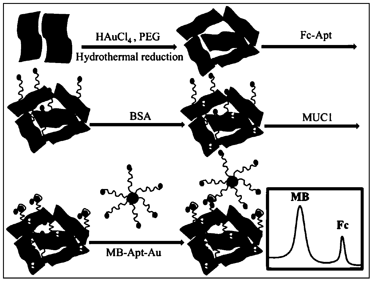 A three-dimensional graphene-based proportional signal amplification aptamer sensor and its preparation method and application