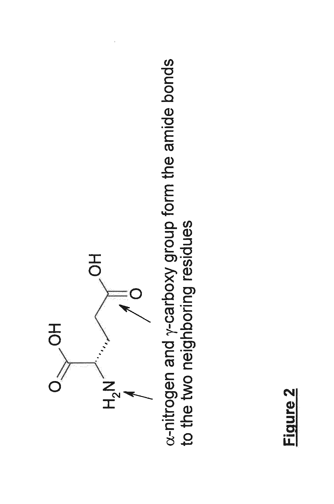 Polypeptides