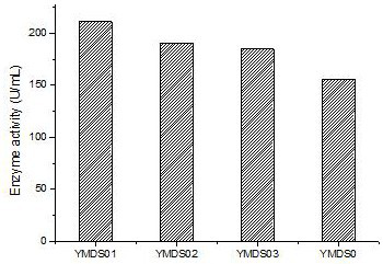 Zearalenone degrading enzyme mutants with improved enzyme activity as well as coding gene and application of zearalenone degrading enzyme mutants