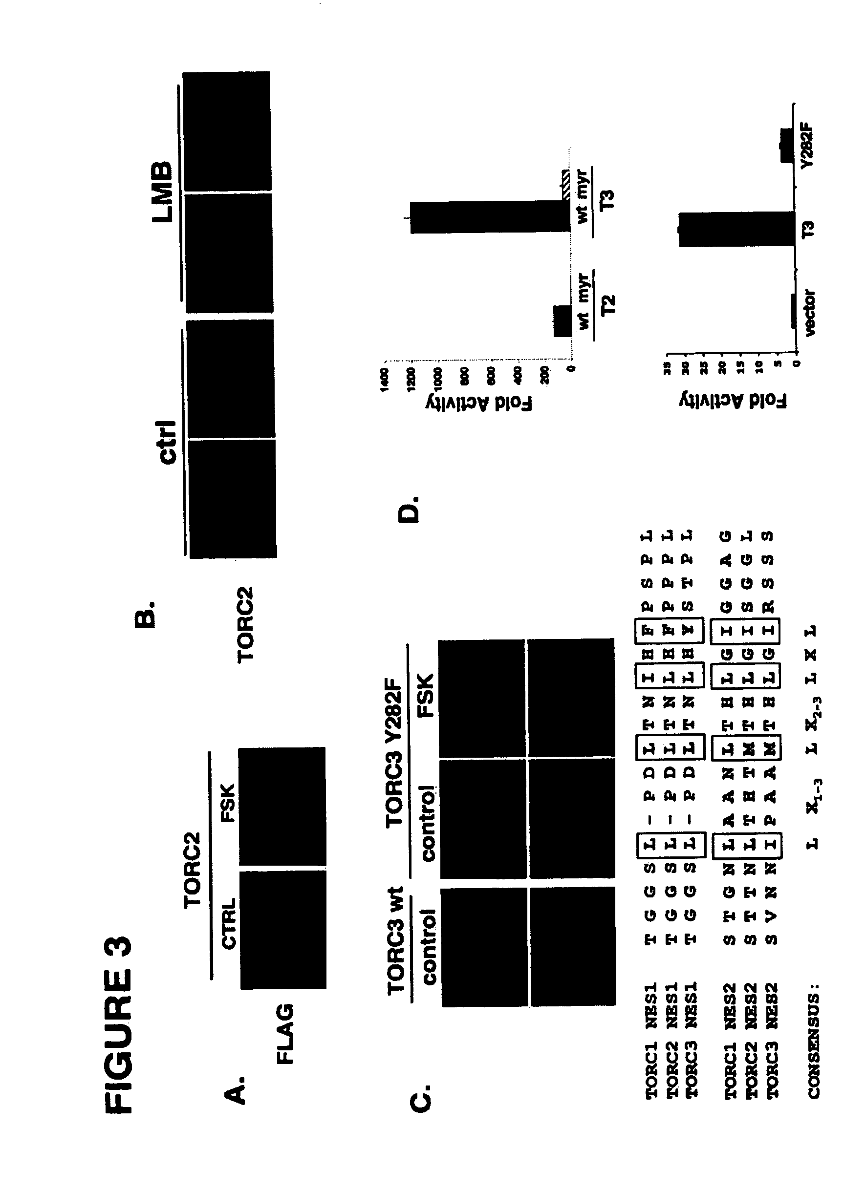 Method for screening compounds for those that modulate transducers of regulated CREB activity