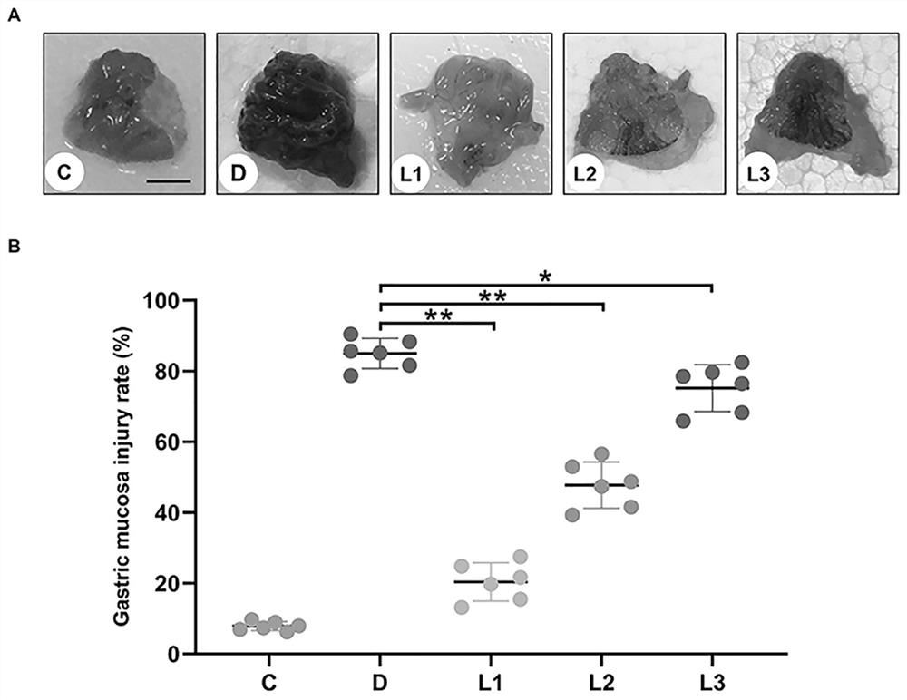 Application of lactic acid and salt thereof