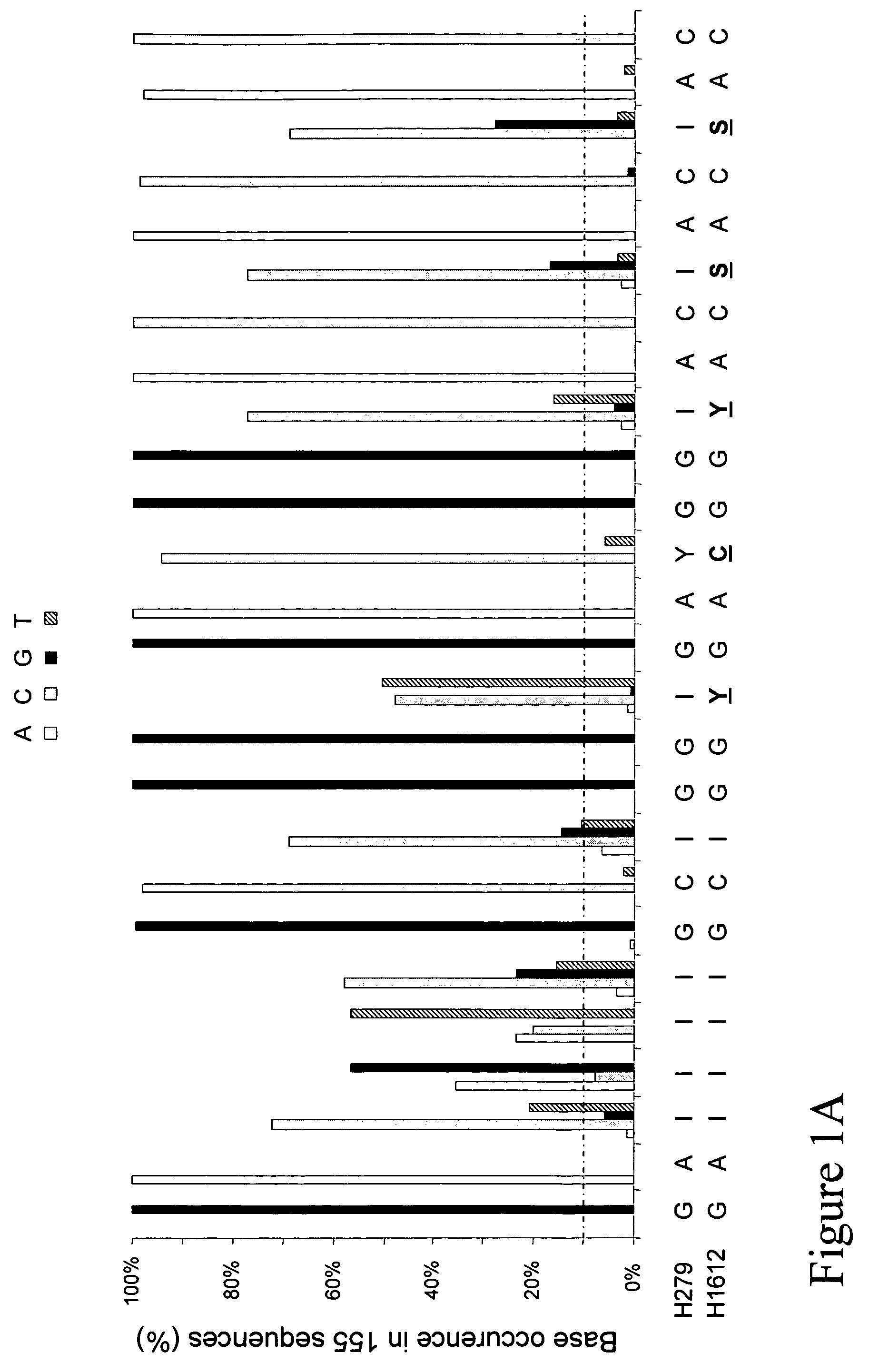 Strong PCR primers and primer cocktails