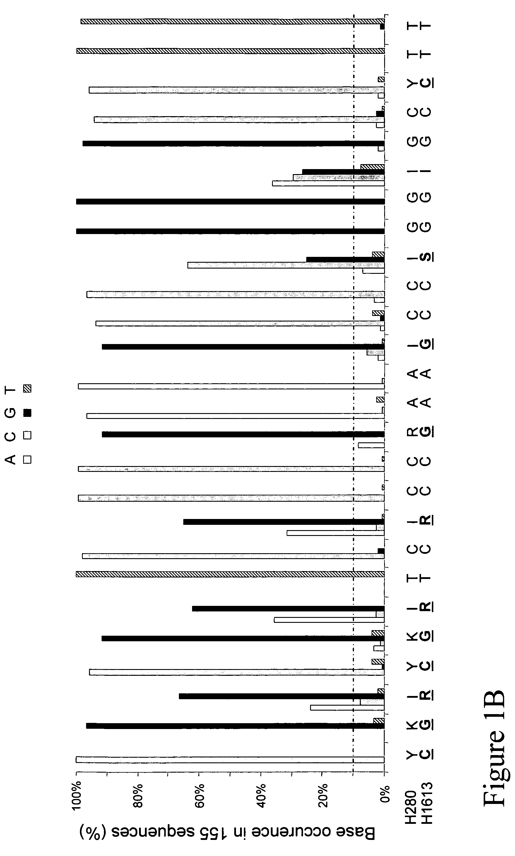 Strong PCR primers and primer cocktails