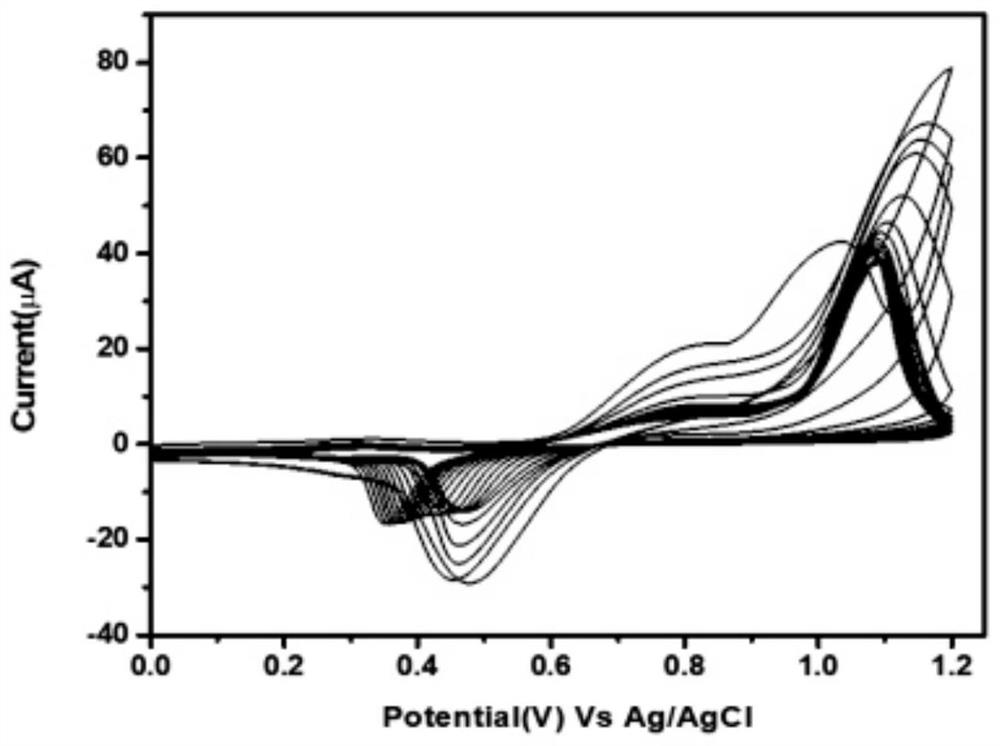 Peptide combined with endotoxin and application thereof in endotoxin detection