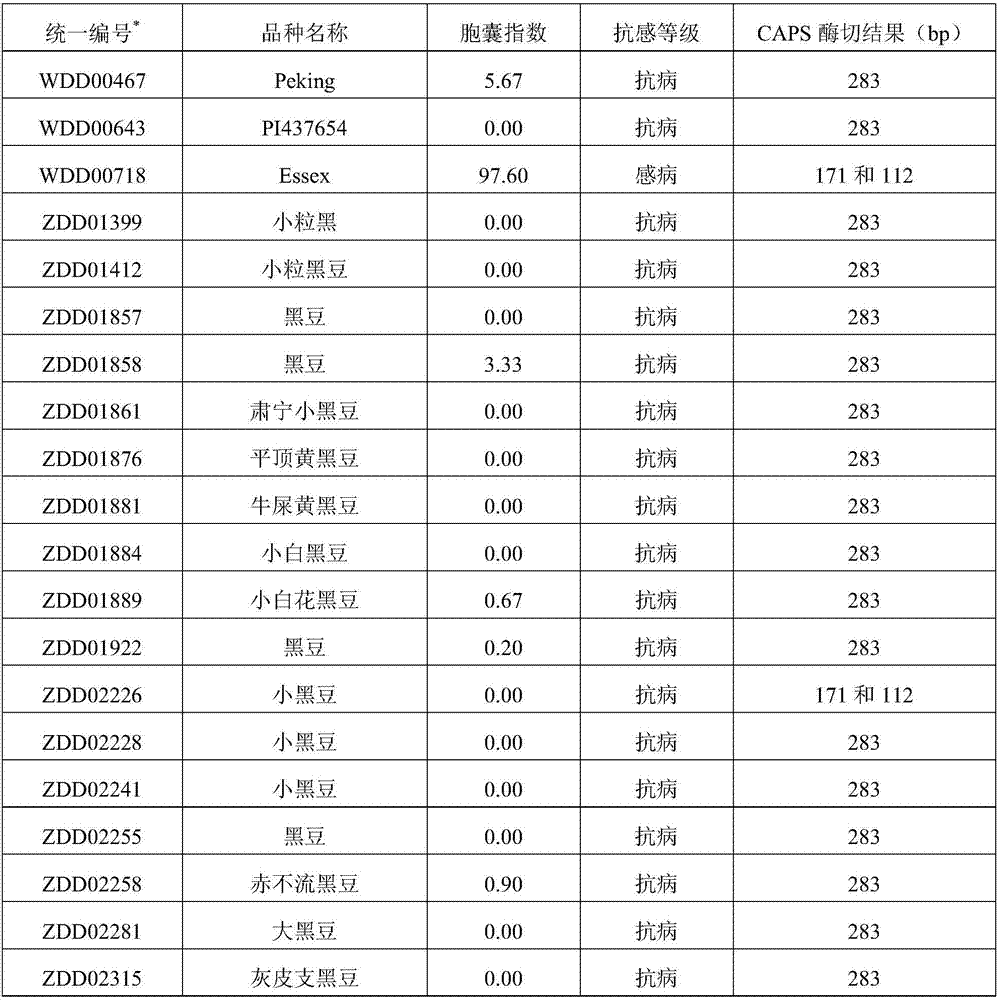 CAPS marker detection method and primer relevant to soybean cyst nematode resistance