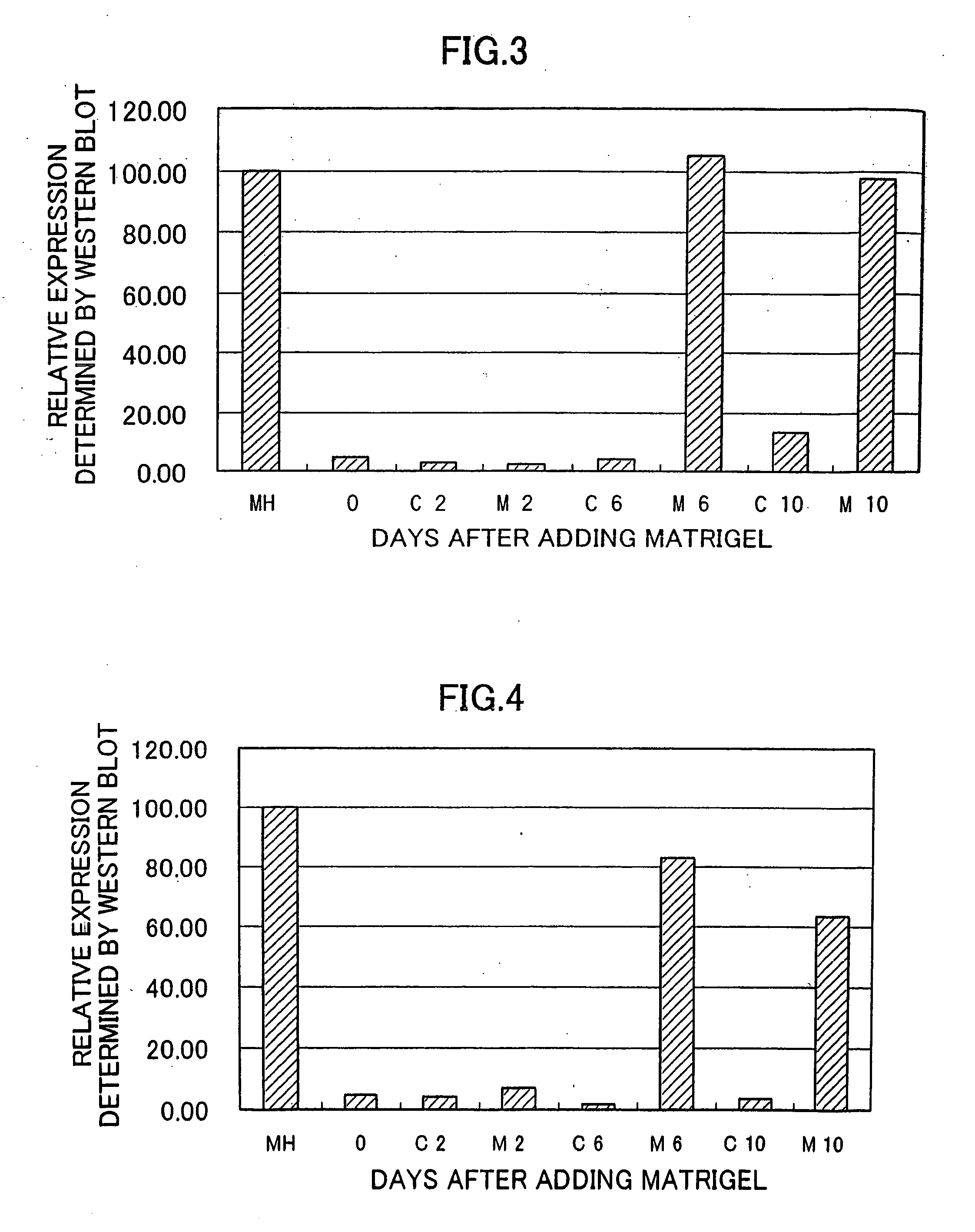 Small hepatocyte-rich colonies, process for preparing the colonies, process for maturating the colonies into liver tissue and method of estimating effects of drug by using matured small hepatocyte-rich colonies