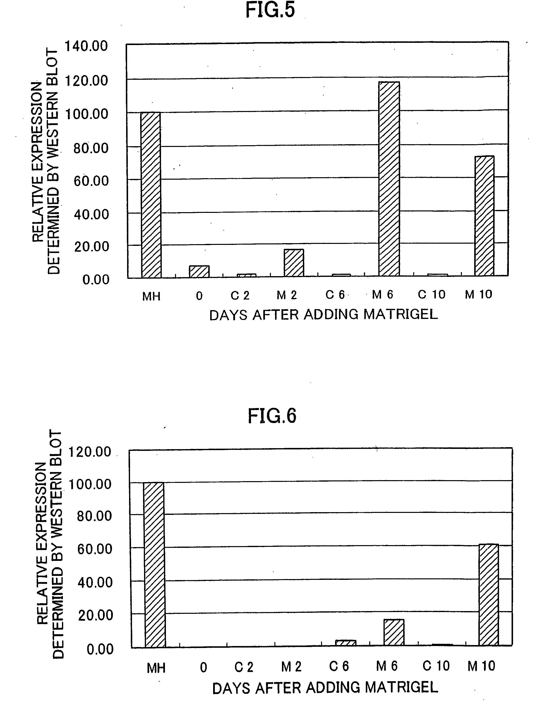 Small hepatocyte-rich colonies, process for preparing the colonies, process for maturating the colonies into liver tissue and method of estimating effects of drug by using matured small hepatocyte-rich colonies