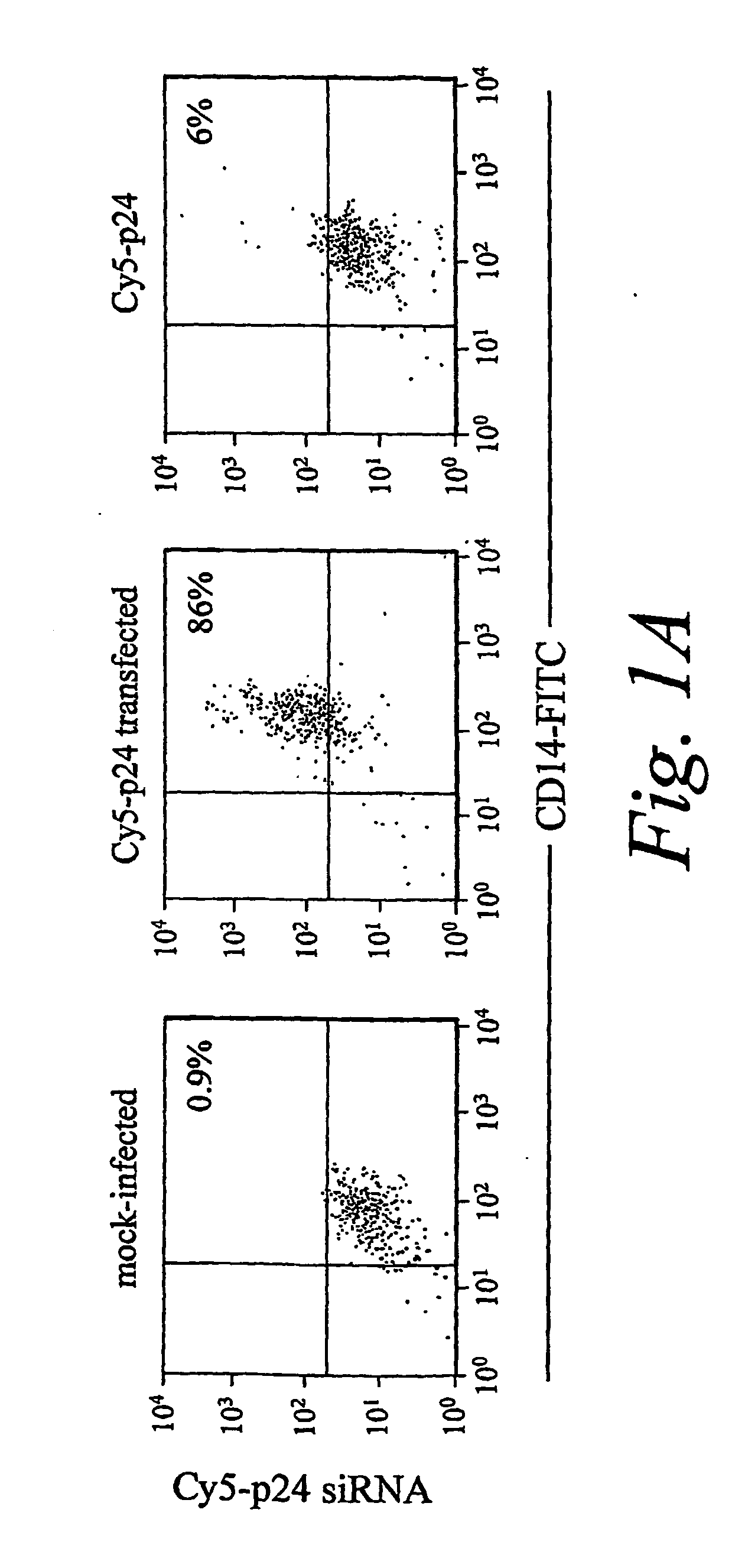 Inhibition of gene expression using rna interfering agents