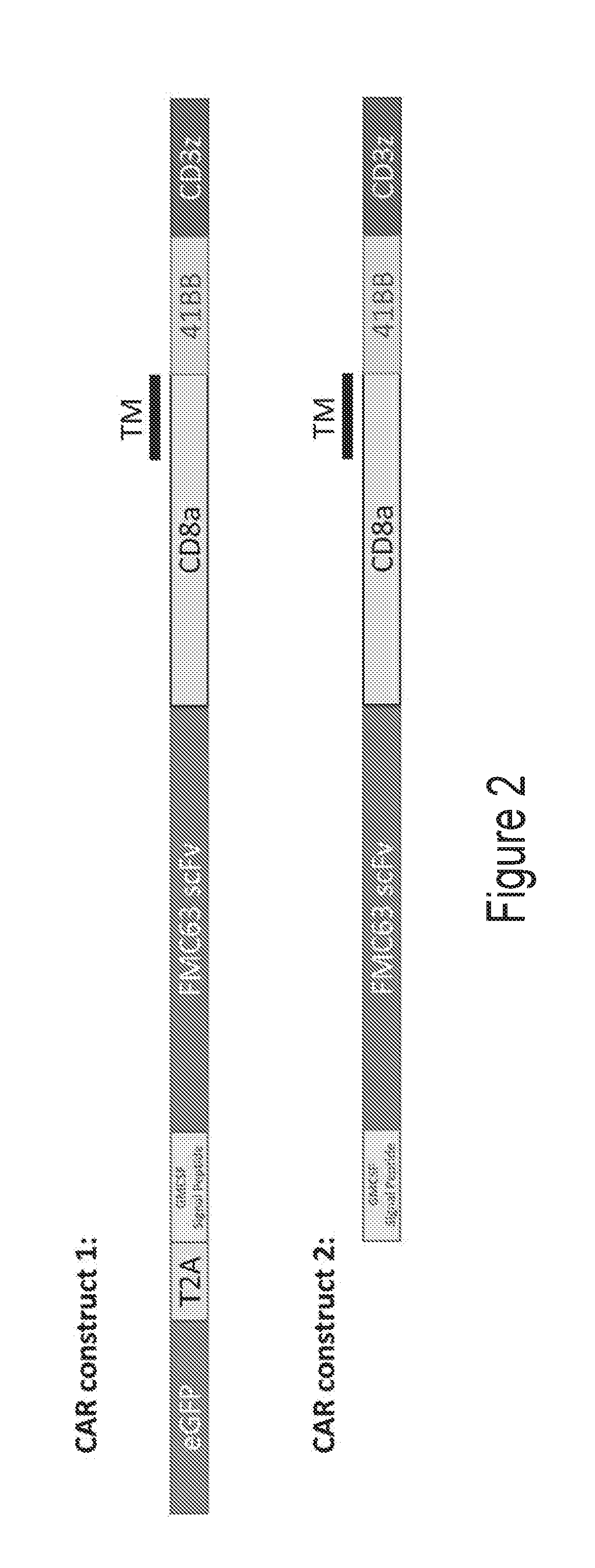 Compositions and methods for immune cell modulation in adoptive immunotherapies