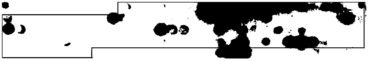 Antigen polypeptide recognized by lppz antibody and use thereof