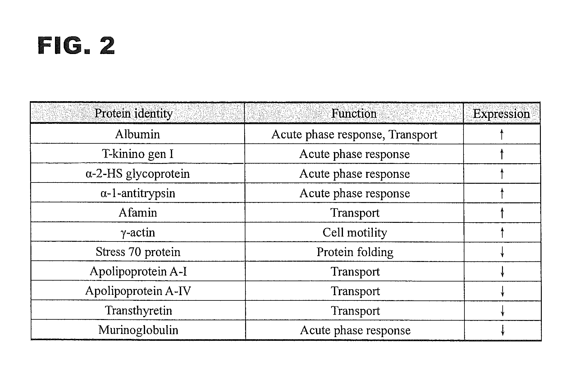 Biomarkers of gastric cancer and use thereof