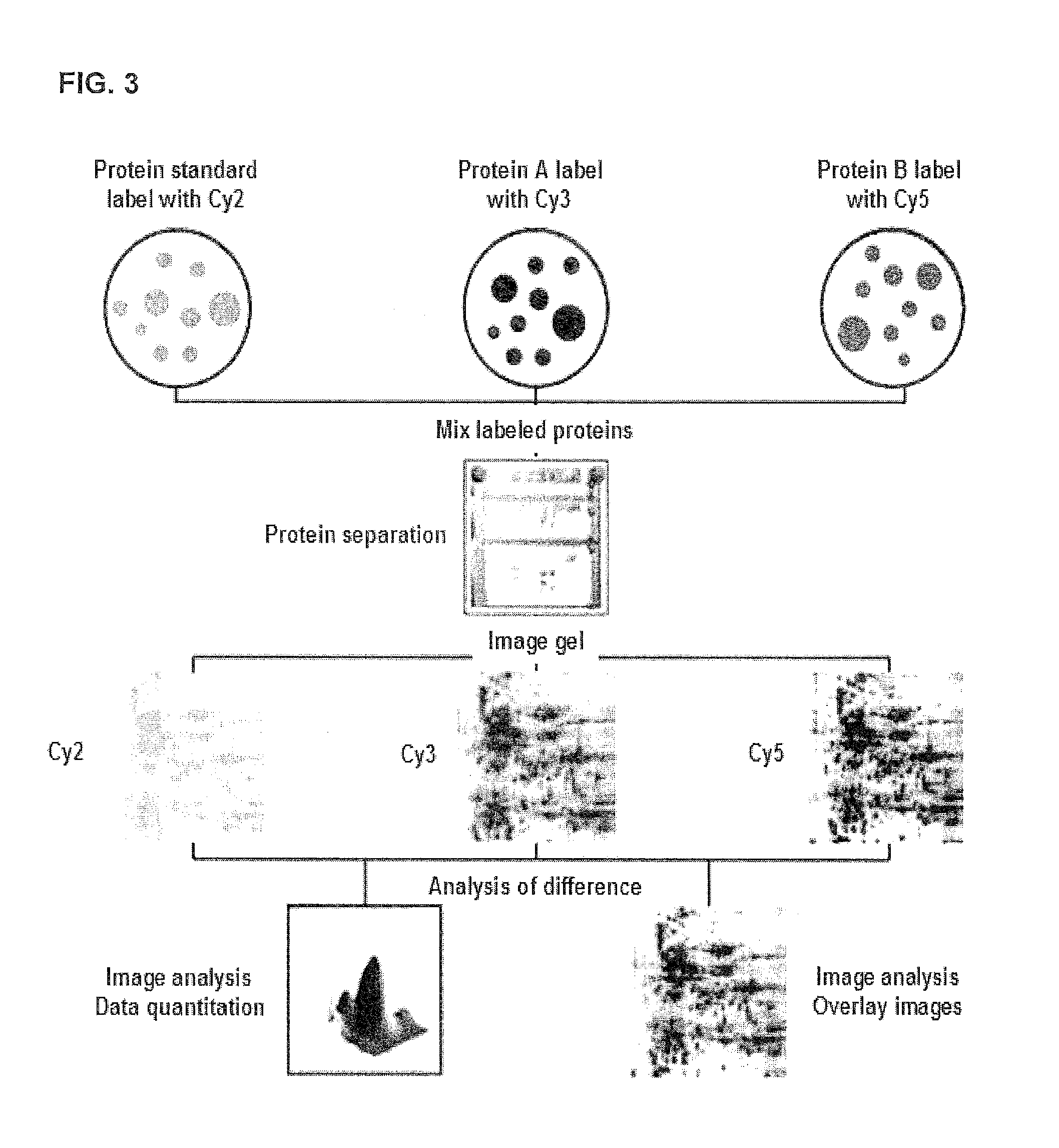 Biomarkers of gastric cancer and use thereof