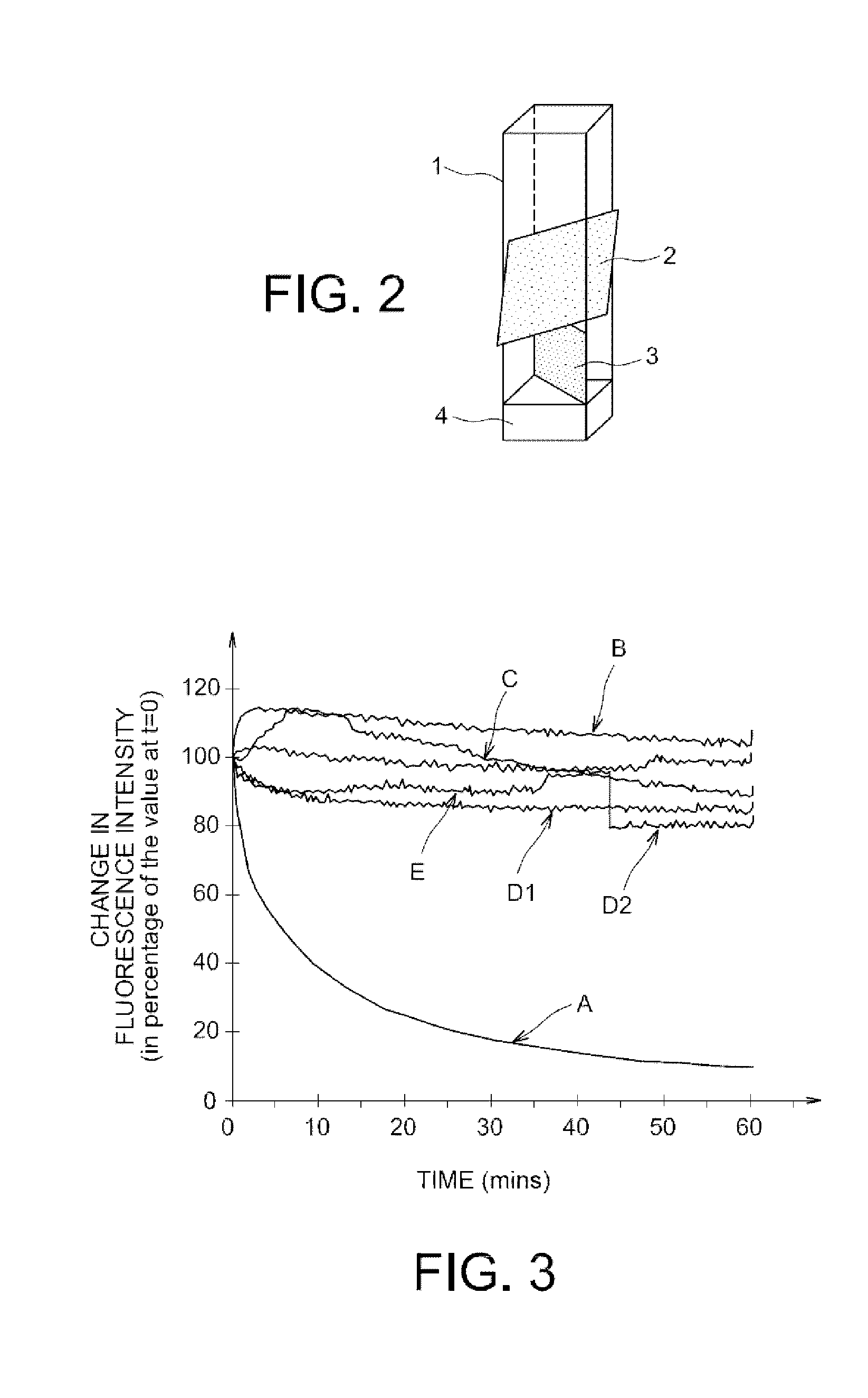 Fluorescent polymers of 7-hydroxycoumarin compounds, chemical sensors comprising them, and polymerizable fluorescent compound of 7-hydroxycoumarin