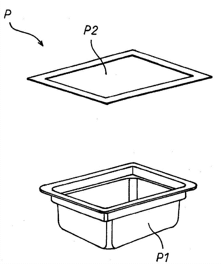 Electronic beam irradiation device