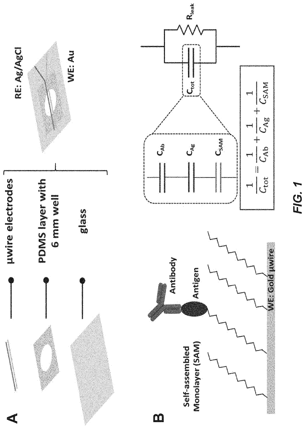 Capacitive micro-sensor for pathogen-specific antibody responses