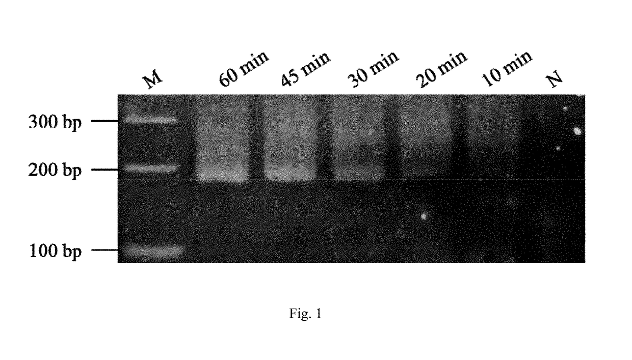 Method and kit for the field diagnosis of caprine arthritis-encephalitis virus (CAEV) infection