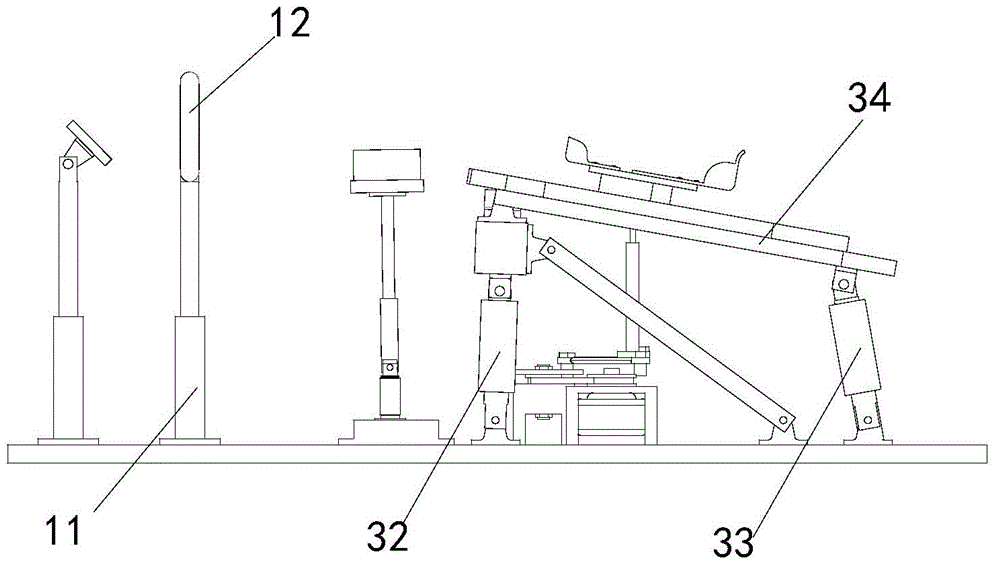 Wiggle-tail vertebrate training device