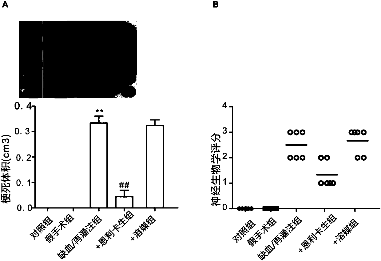 Application of emricasan in preparation of medicine for treating ischemia/reperfusion injury