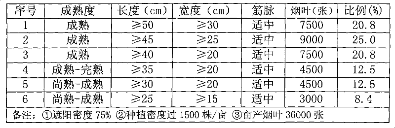 Method for cultivating cigar wrapper tobacco leaves