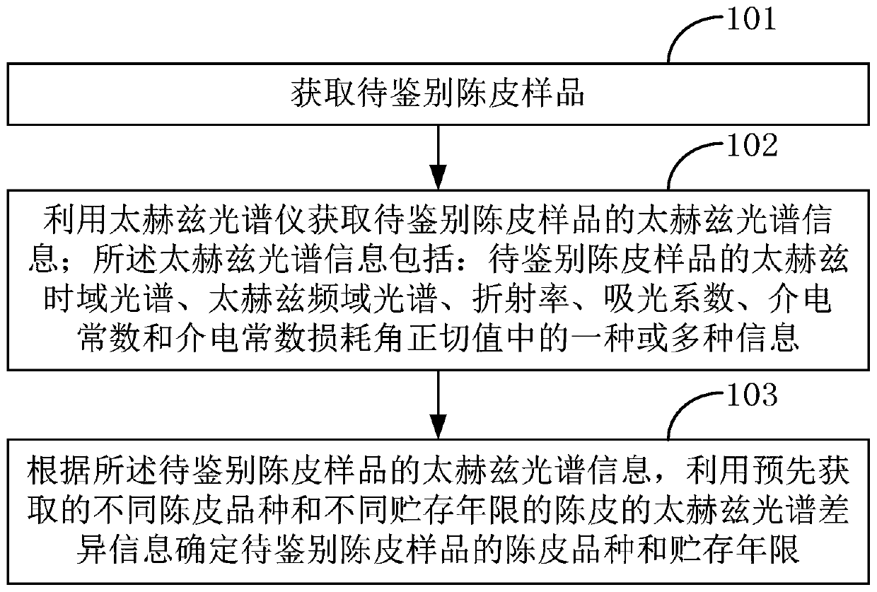 Identification method and identification system of dried tangerine peel