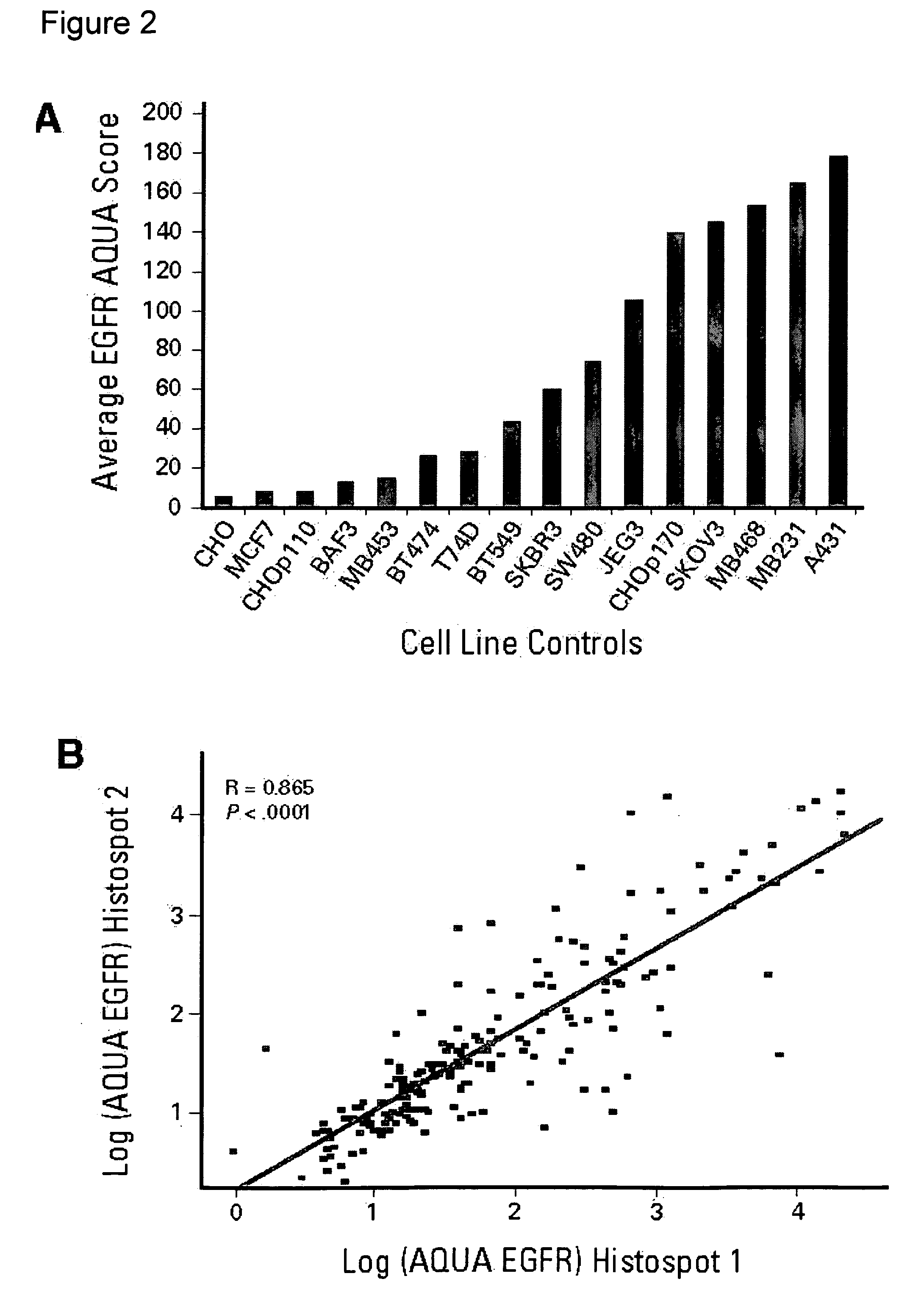 Methods for a predictive diagnostic test for tamoxifen