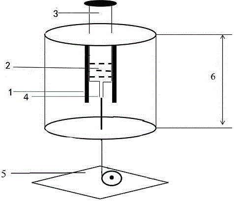 Nylon 6 melt spinning method and melt spinning device under external field conditions