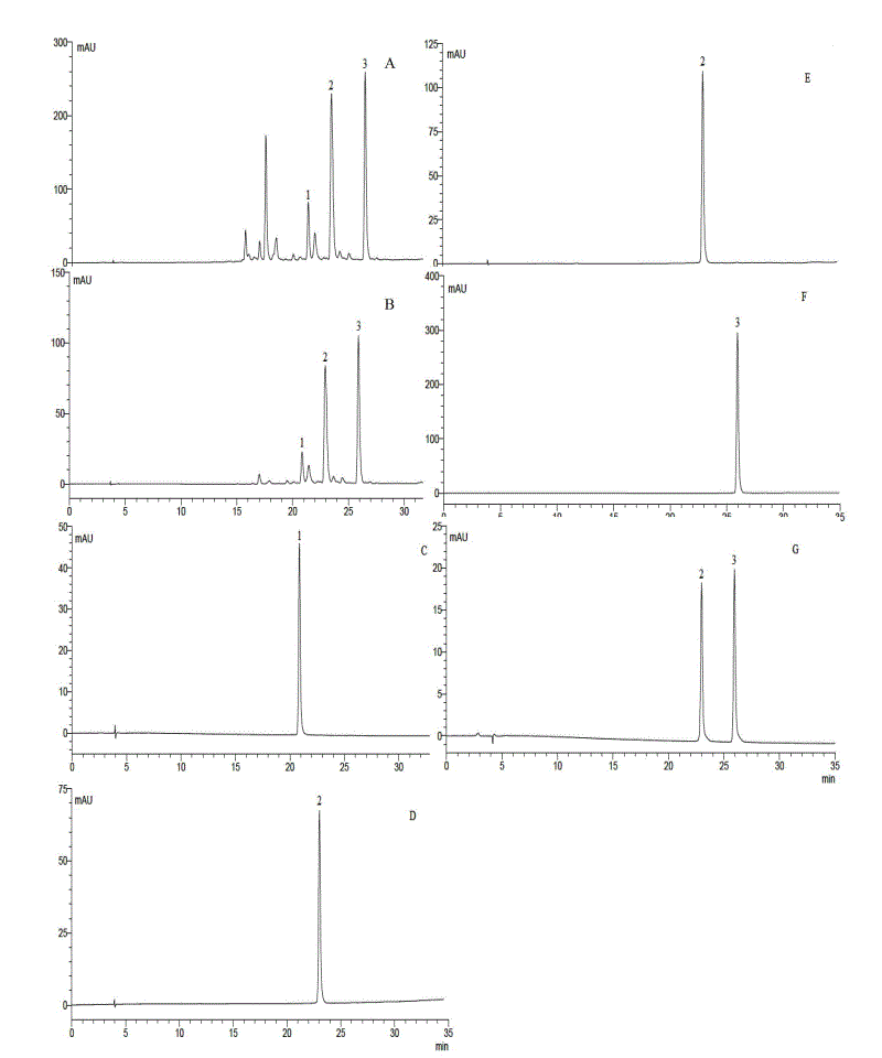 Method for separating and preparing high purity flavonoid glycoside compounds from actinidia valvata dunn leaves