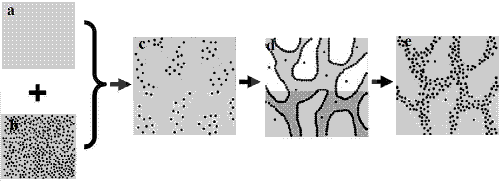 Conductive polymer composite and preparation method thereof