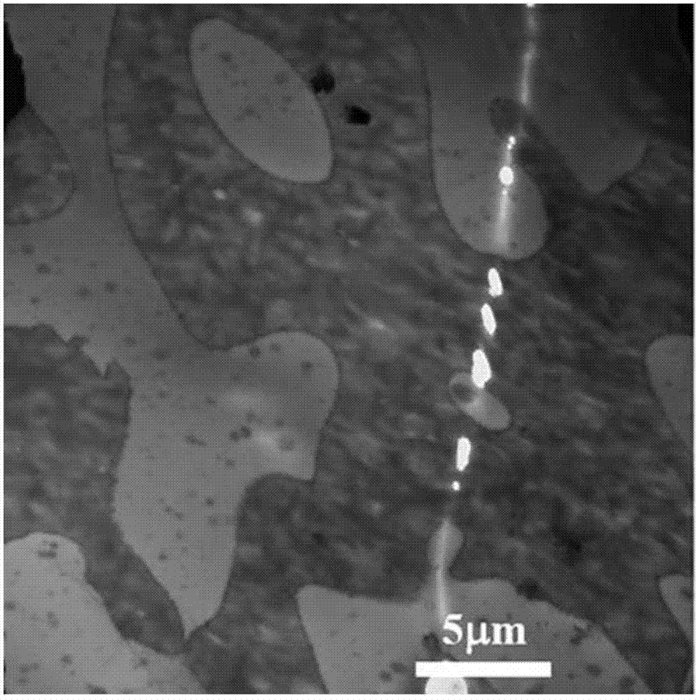 Conductive polymer composite and preparation method thereof