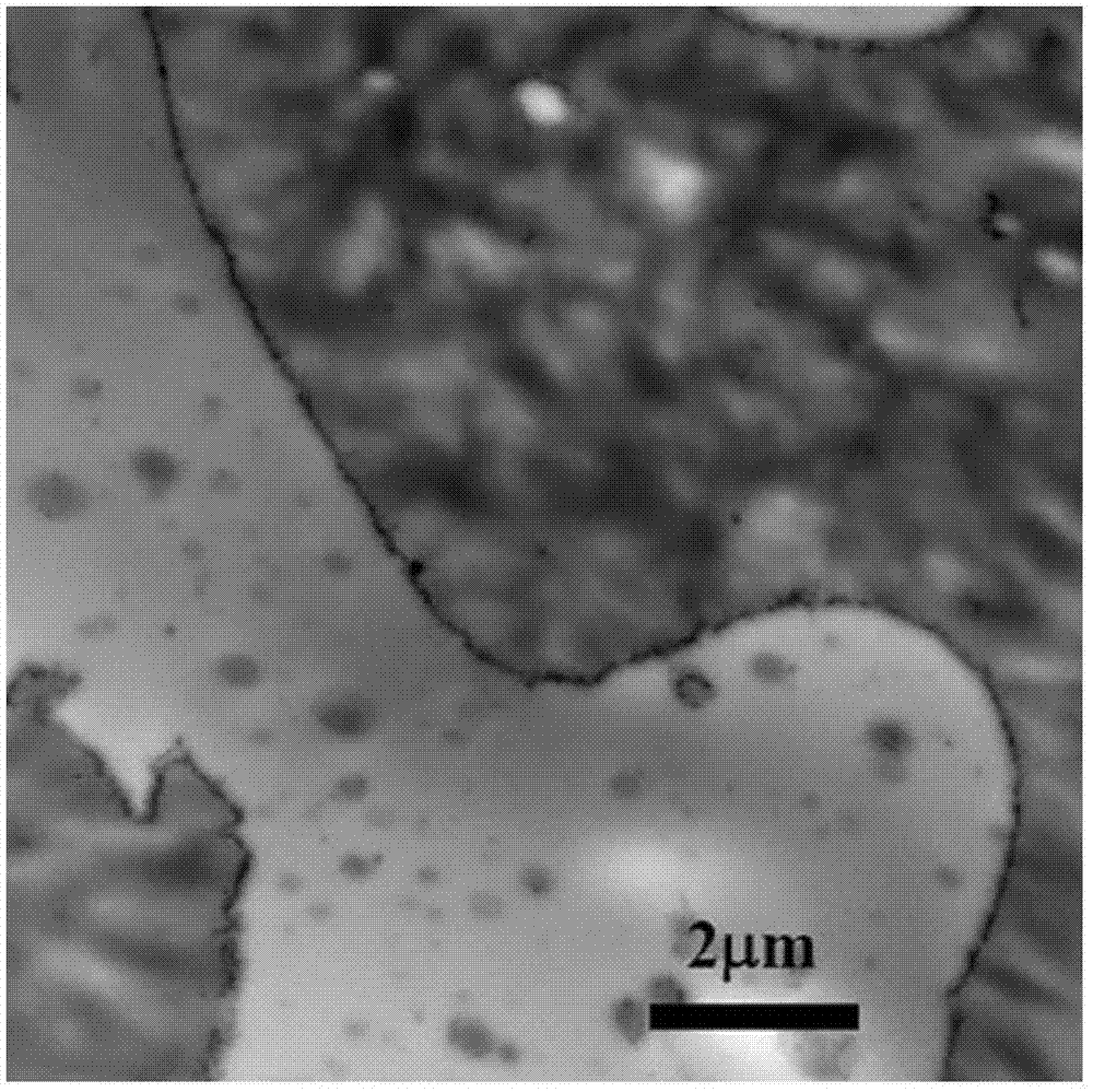 Conductive polymer composite and preparation method thereof