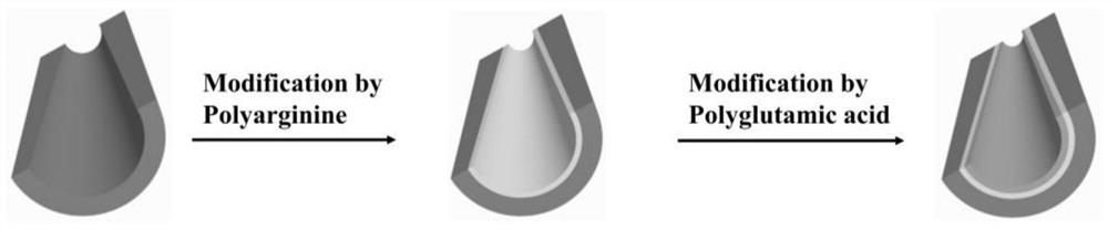 Method for preparing pH-responsive nanofluidic diode based on nanopores modified by polyarginine and polyglutamic acid layer by layer