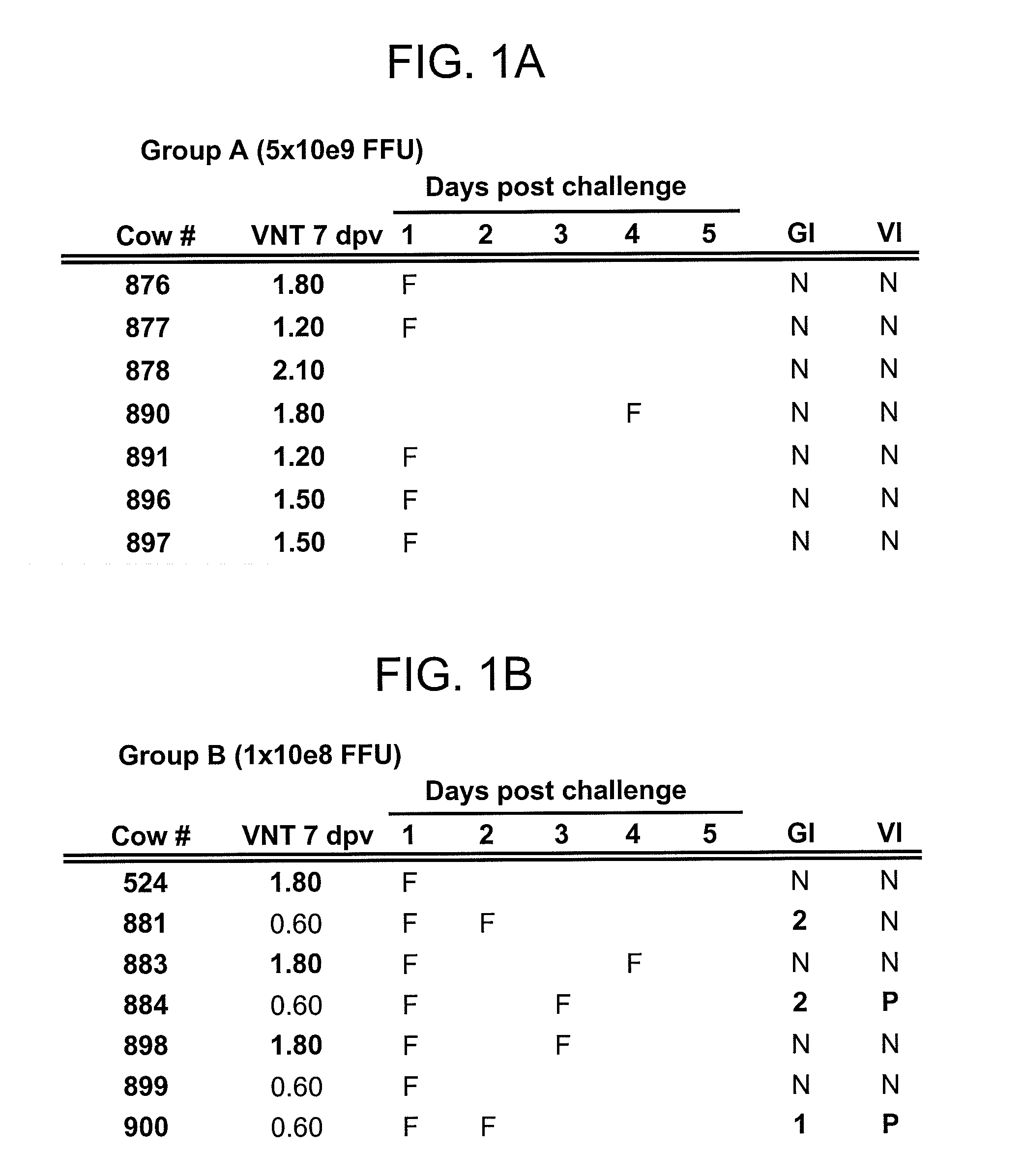 Adenoviral vector-based foot-and-mouth disease vaccine