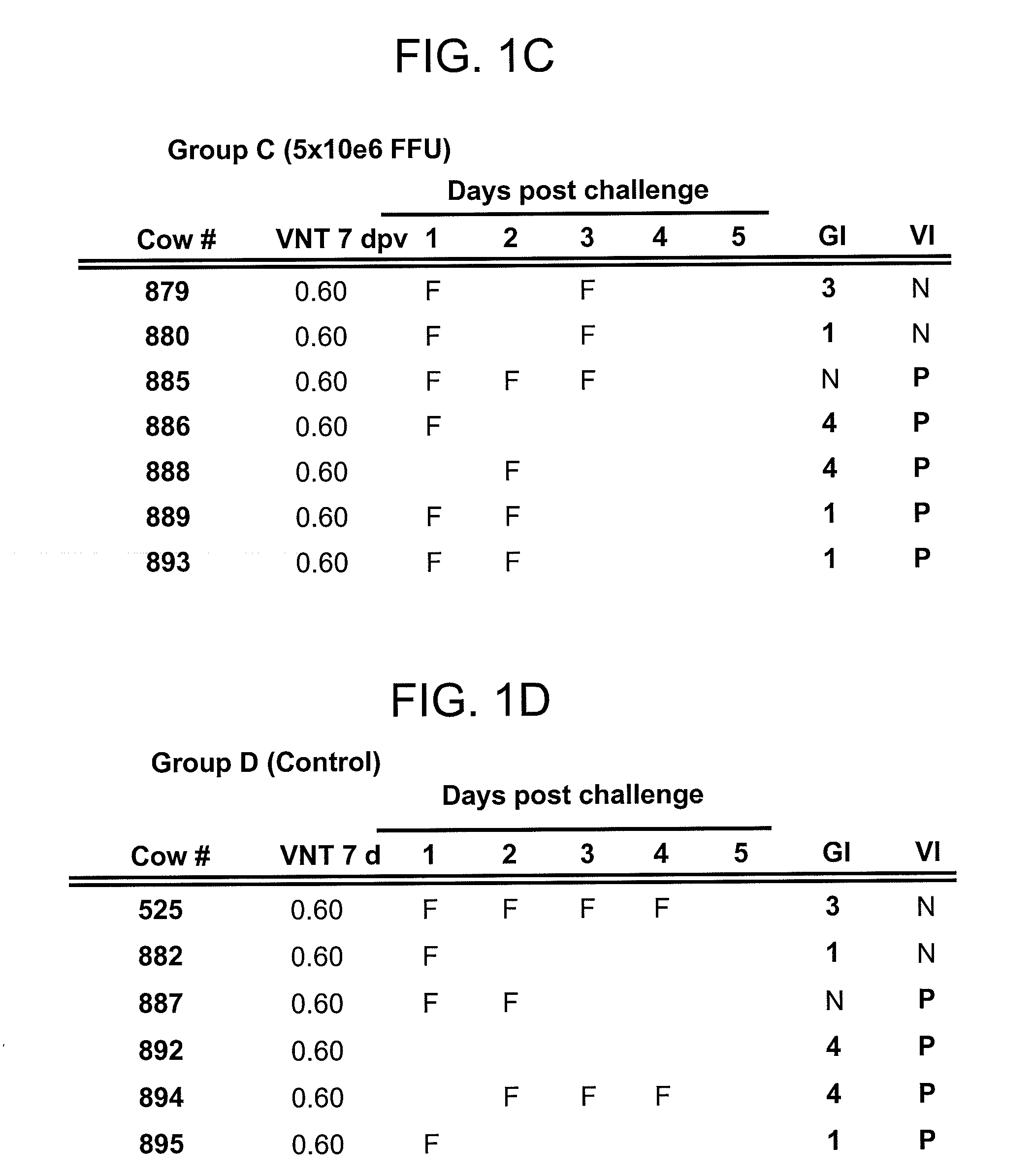 Adenoviral vector-based foot-and-mouth disease vaccine