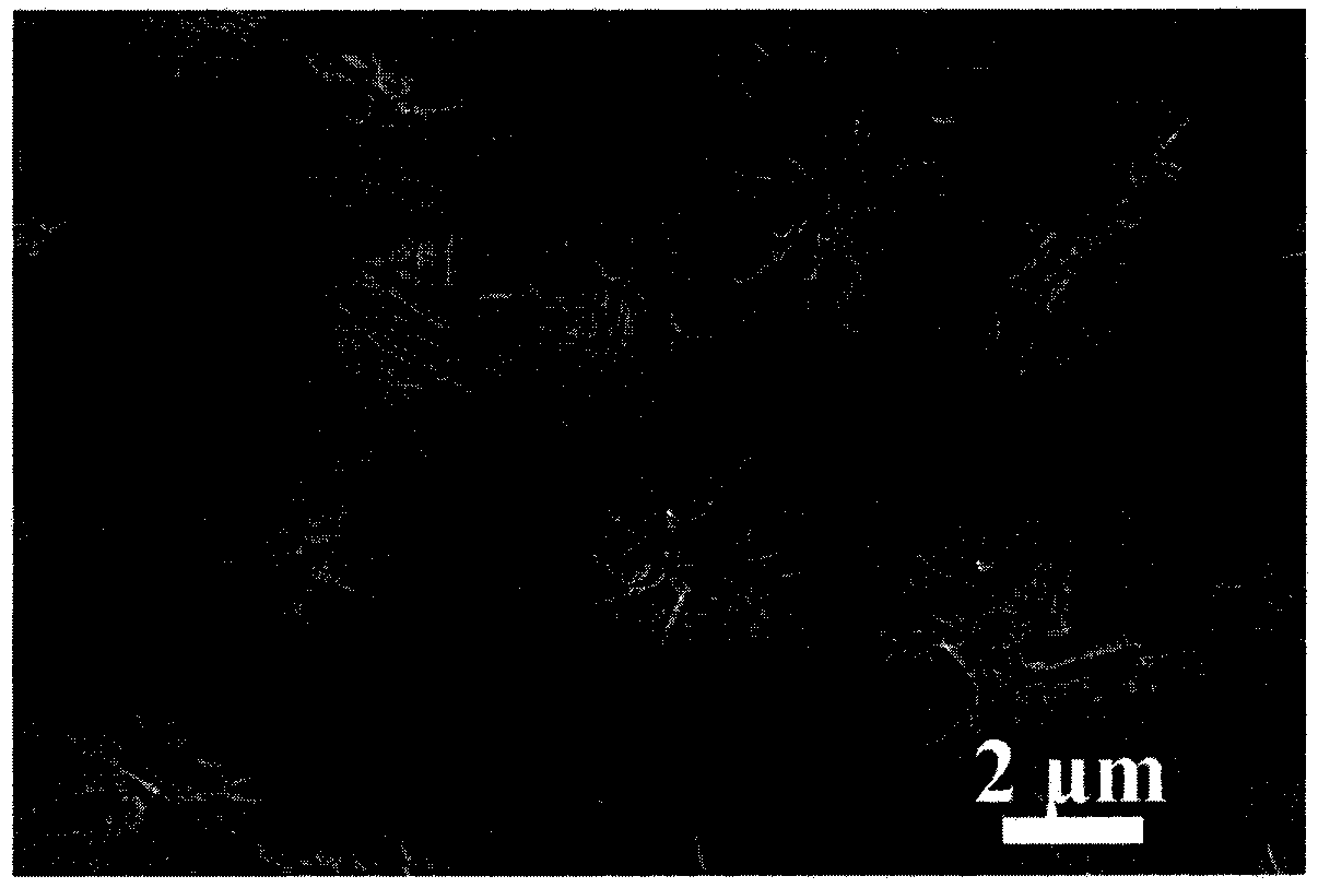 Preparation method for flower-shaped micron-sized silver powder with slender and large petals