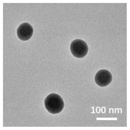 Polyphenol nano-reactor and preparation method and application thereof