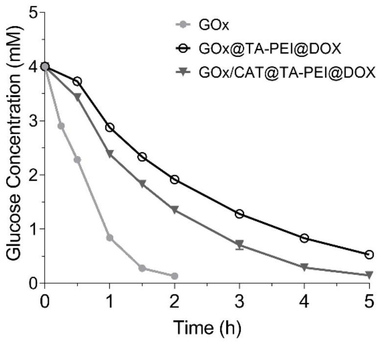 Polyphenol nano-reactor and preparation method and application thereof