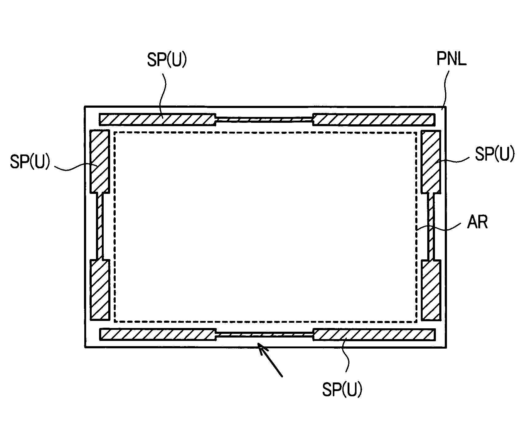 Display device with elastic spacers having varying widths and hardness