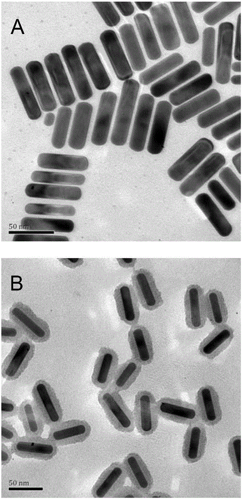 Composite gold nanorod carrier having photo-thermal/photodynamic therapy treatment performance and preparation method thereof