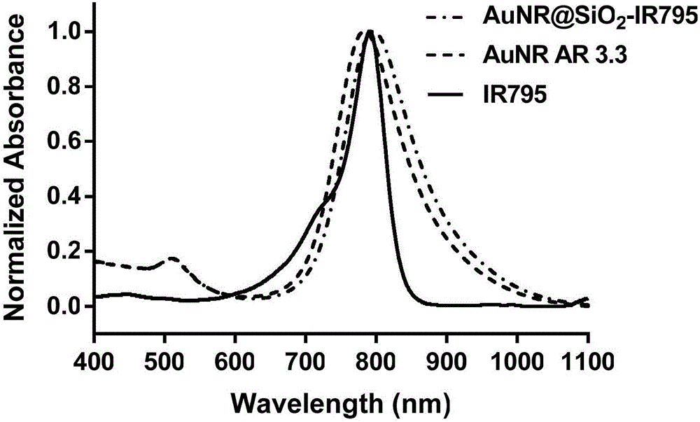 Composite gold nanorod carrier having photo-thermal/photodynamic therapy treatment performance and preparation method thereof