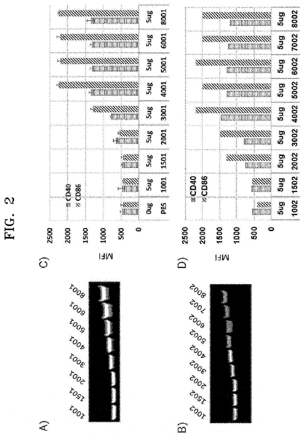 Hetero-structured ribonucleic acid and use thereof