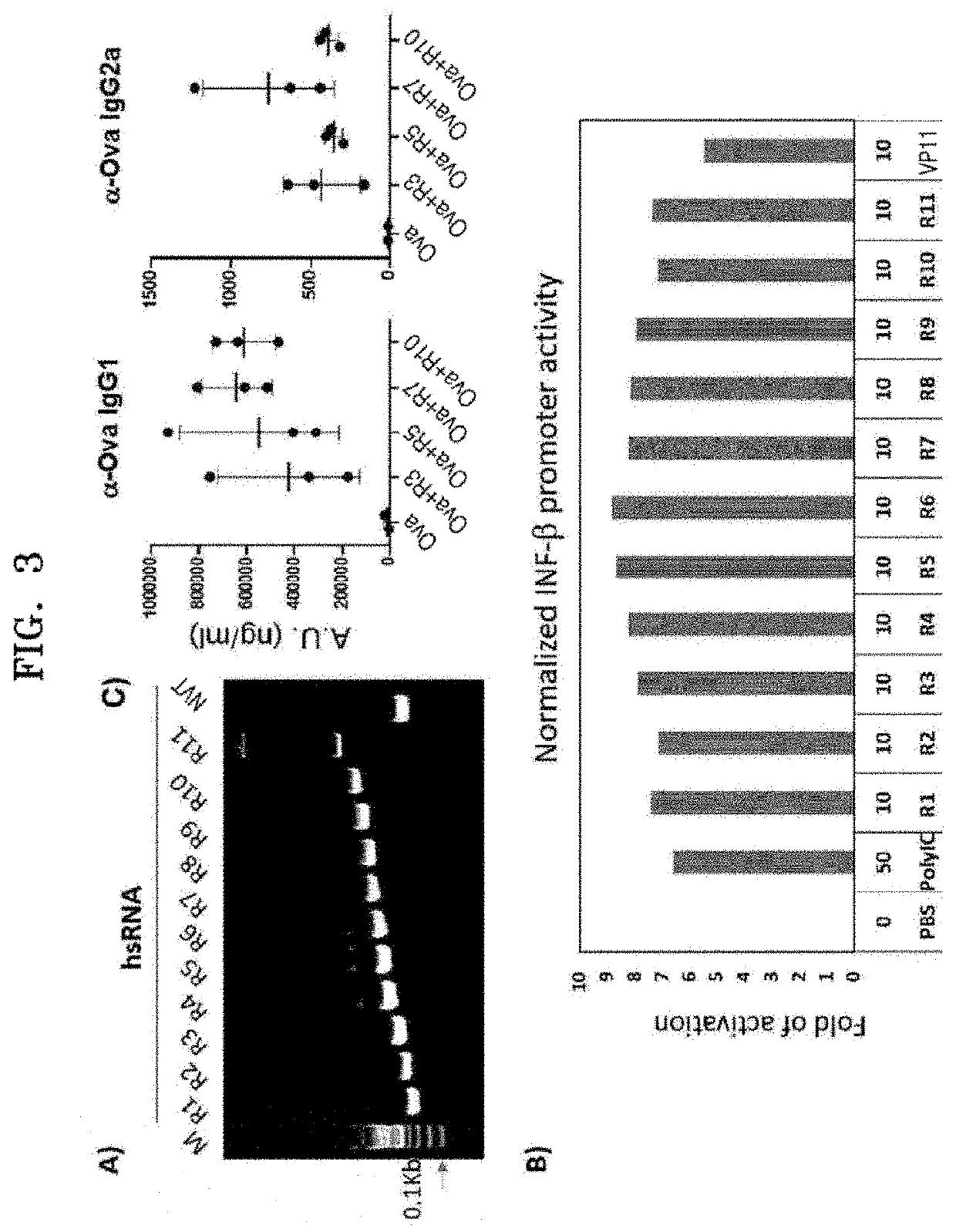 Hetero-structured ribonucleic acid and use thereof