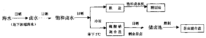 Production process of solid sea water