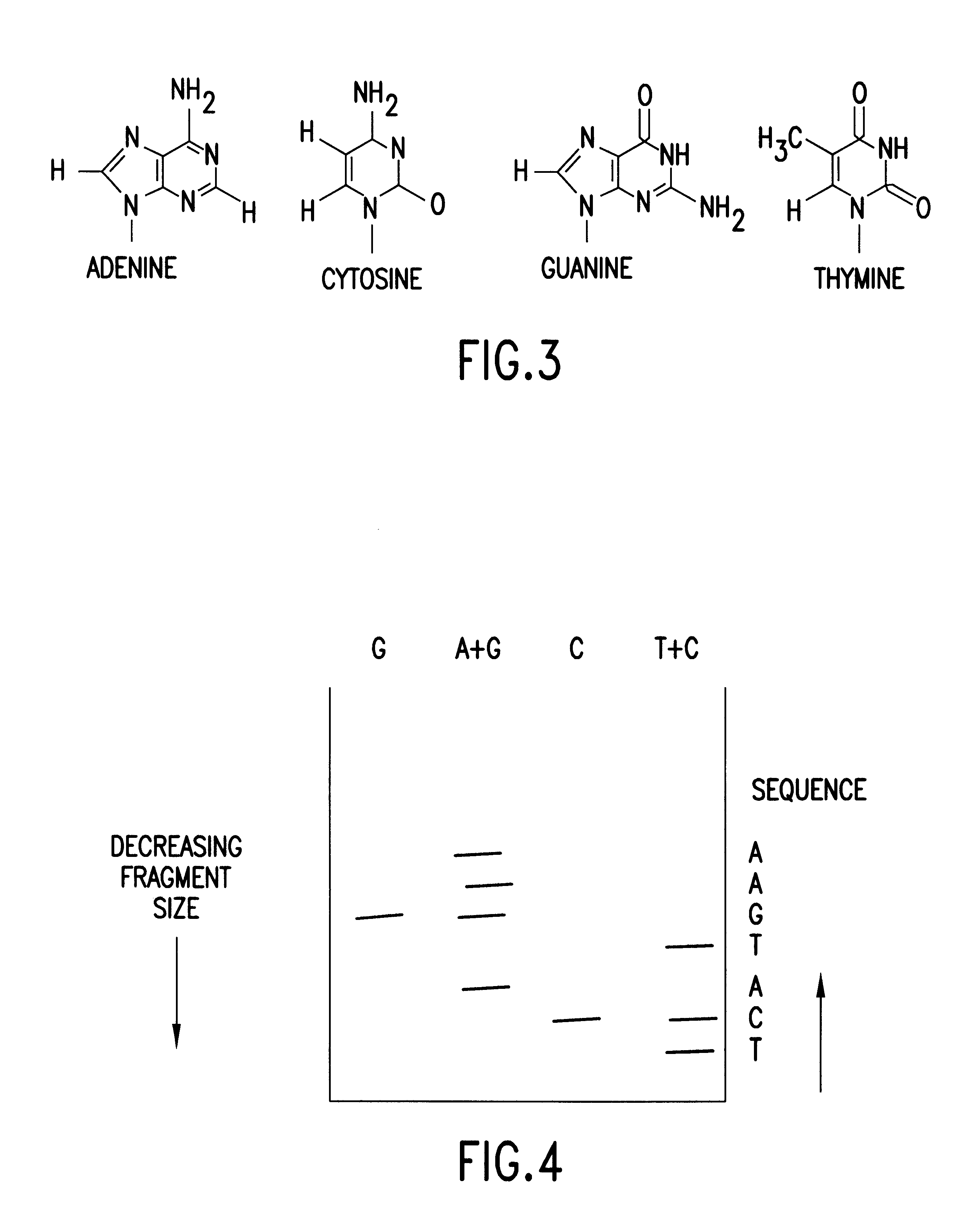 Apparatus for DNA sequencing